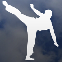 category: martial arts decals